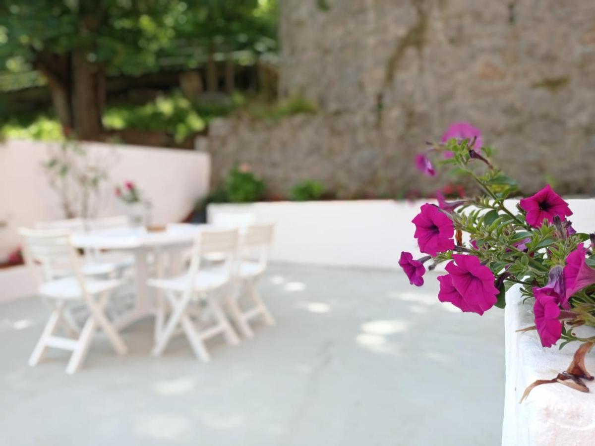 Easo Terrace Apartment Free Private Parking And Air Conditioning San Sebastián Exteriör bild